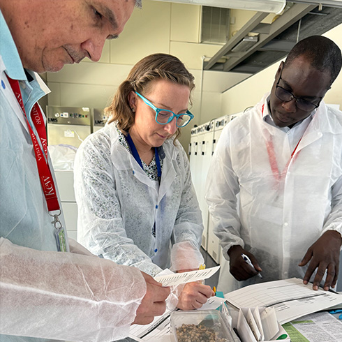 scientists examining seeds in a lab setting